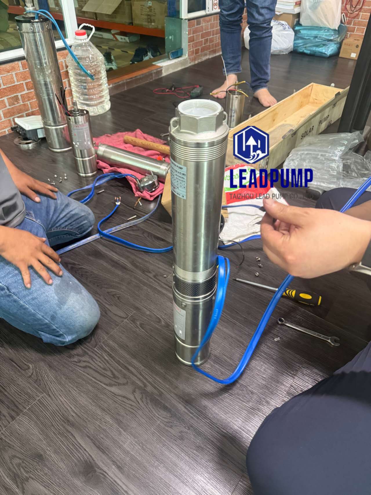 Taizhou Lead Pump Co. ، Ltd Rushing To Audit Customer في جنوب شرق آسيا مع مشكلة مضخة المياه الشمسية