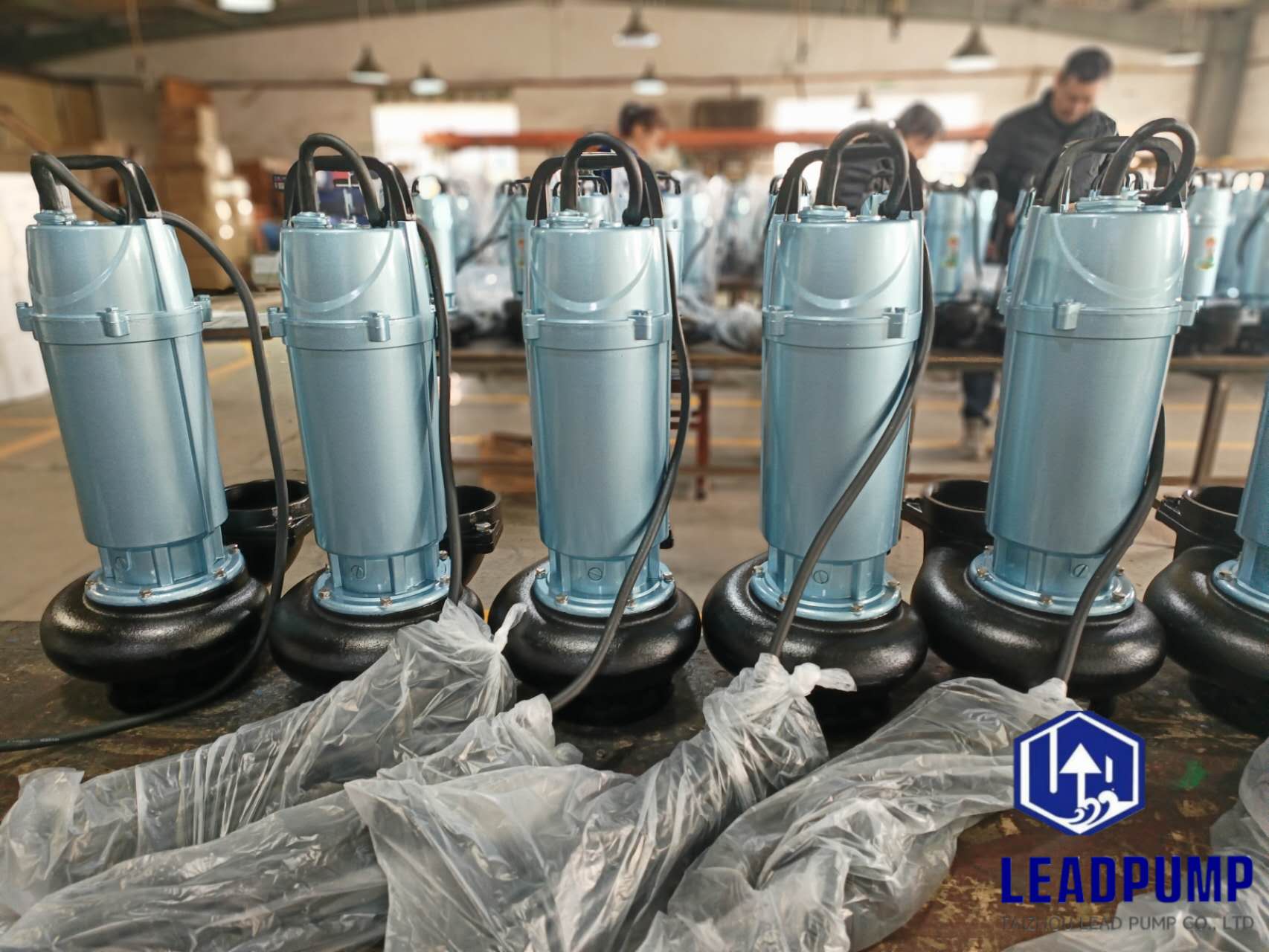 تكمل شركة Taizhou Lead Pump Co. ، Ltd إنتاج مضخات غاطسة جديدة لعميل الشرق الأوسط